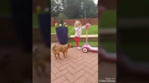 Kid playing Fun outdoors with scooter toy