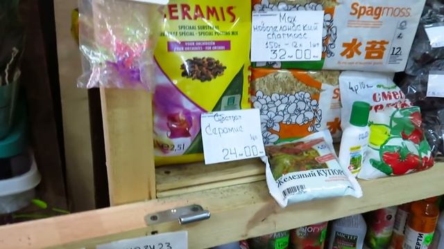 Вновь великолепие орхидей у Олега!!!!Любуемся!!!! смотреть онлайн