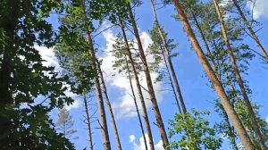 Пульсар 180 и Боксер 150Х Поездка в 100 км