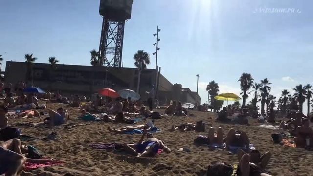 Где лучше и удобнее жить туристу в Барселоне в 2022 г.: недорогие районы города на первой линии мор смотреть онлайн
