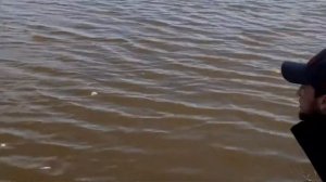 РЫБАЛКА В ПОДОЛЬСКЕ