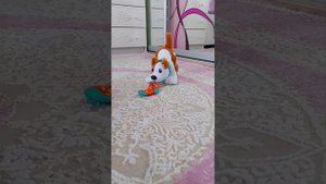 Щенок ПОЛЗИ СО МНОЙ от Fisher-Price 🐶