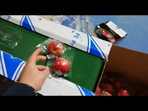 Упаковка яблок flow pack на горизонтальном упаковщике