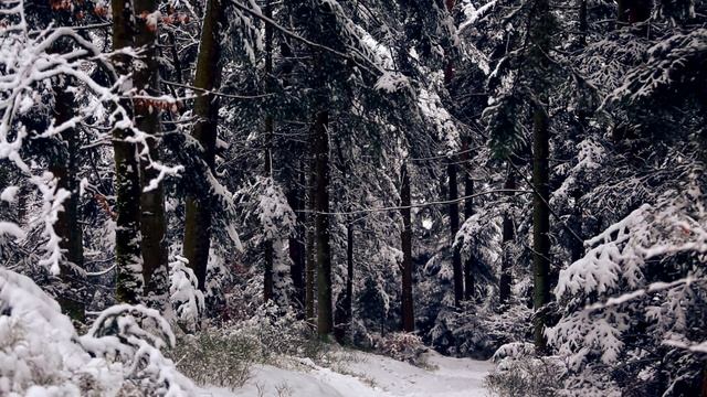 Footage Winter in Bad Herrenalb, Germany 2021. Music of Anton Peys смотреть онлайн