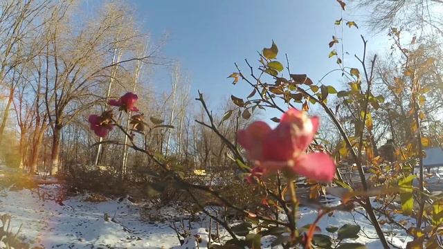 Что значит жить в маленьком городе? смотреть онлайн
