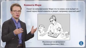 Мысленные эксперименты в философии сознания / Лекция 11.2.  Философия сознания