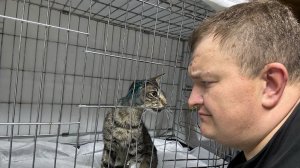Операция прошла успешно! Новости про кота с ожогом!