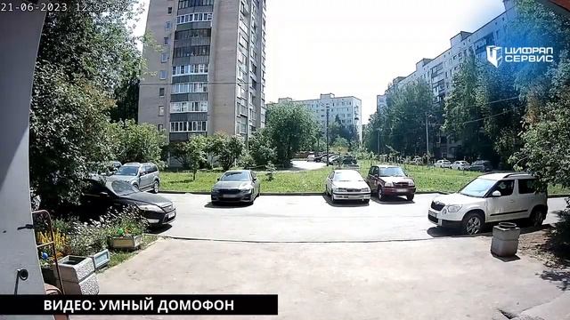 Видео с камеры домофона. Целый день смотреть онлайн