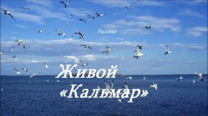 Живой «Кальмар».. (рассказ)