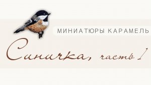 Ознакомительное видео по вышивке синички из подборки миниатюр Карамель