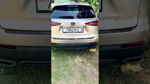 Обзор Lexus NX 300 2018г. из США