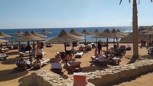 Обзор Пляжа Palma Beach отеля Tivoli Hotel Aqua Park 4* Египет, Шарм эль Шейх ЗИМА 1.02.2020