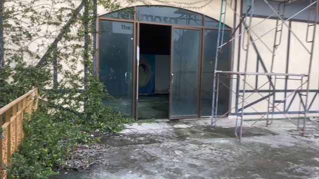 Был в Паттайе - попал в МИМОЗУ!