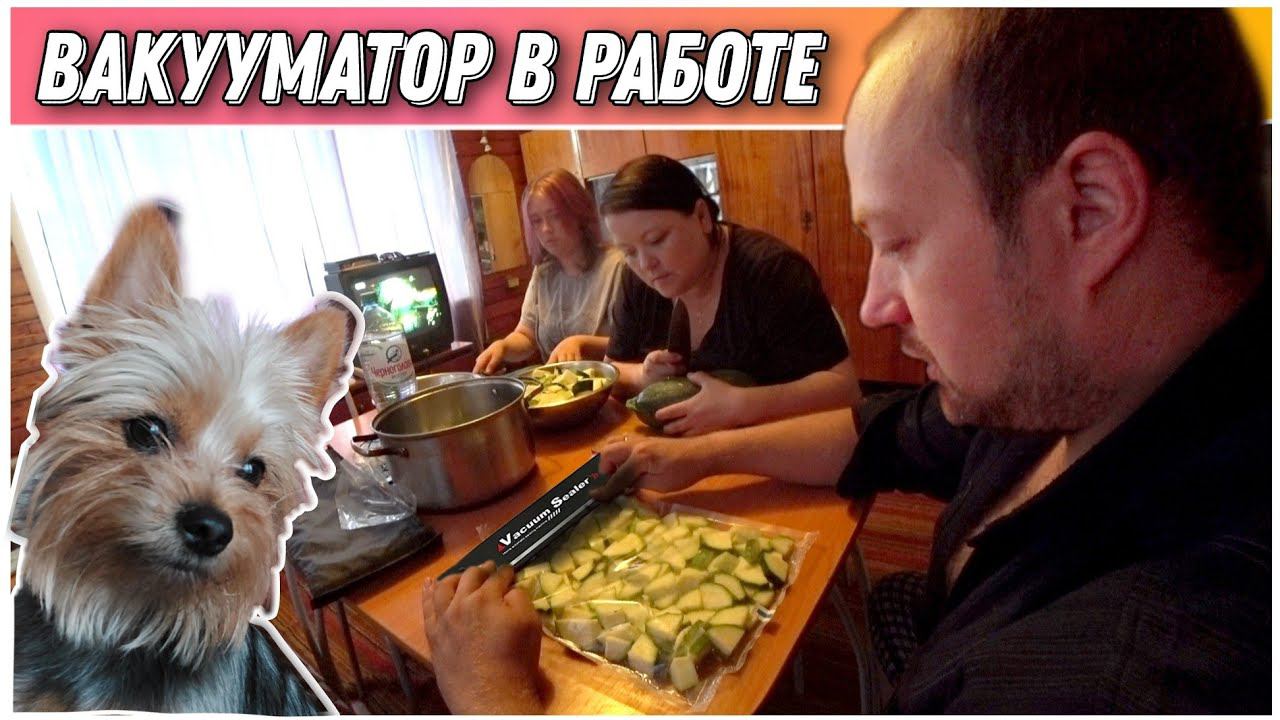 ВЛОГ! Первая заморозка кабачков на зиму в этом году/Как пользоваться вакууматором/Простая жизнь!