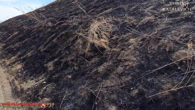 Казахстана, обалденные степи Костанайской области, я это сделал - набегал/находил 25 км за день! смотреть онлайн