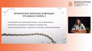 Вирусные инфекции кошек-симптомы, лечение