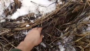 Верховой металлопоиск, где искать металл?