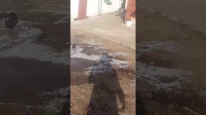 ветер 5м в секунду