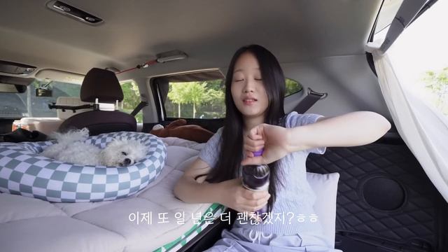강쥐랑 노지 차크닉 | 솔로캠핑 | 반려견 동반 | 셀토스 차박 | 전남 함평 노지