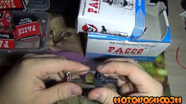 Продукция PACCO смотреть онлайн