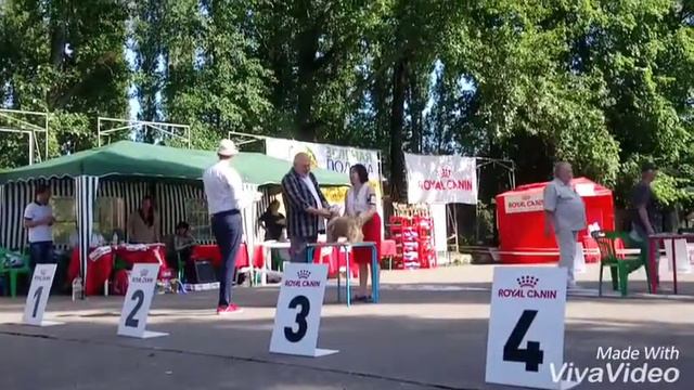 ВОРОНЕЖ 16.06.2018 г. смотреть онлайн