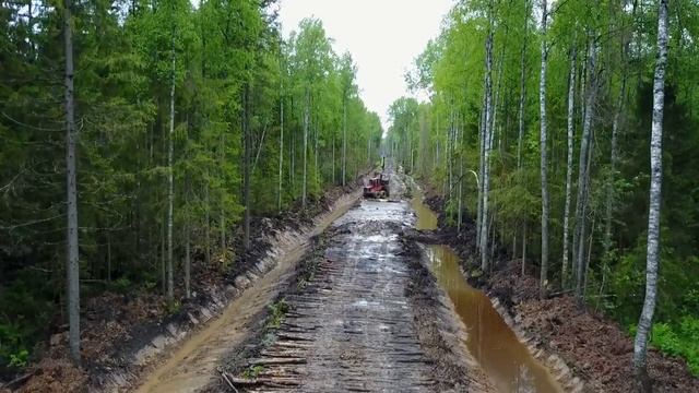 Строительство лесной дороги смотреть онлайн