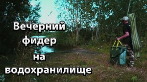 Фидерная ловля на водохранилище