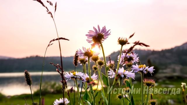 Алине передали письмо лучшей подруги. Прочитав его, она… смотреть онлайн