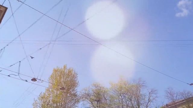 Франшиза "Gelateria PLOMBIR". Итальянское мороженое смотреть онлайн