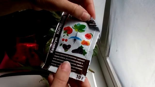 VANDA орхидея ВАНДА адаптация наращивание корней смотреть онлайн