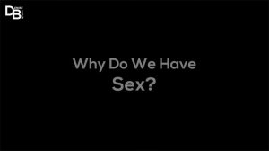 What Is Sex Why We Need To Sex