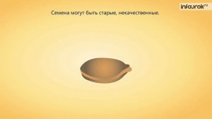 Прорастание семян | Биология 6 класс #35 | Инфоурок