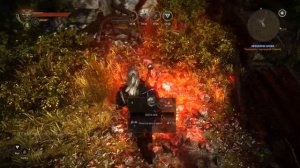 Ведьмак 2: Убийцы королей - Добраться до Вергена