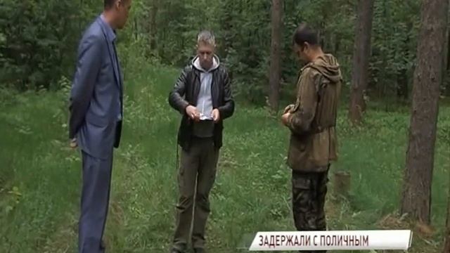 В Заволжском районе задержали черного лесоруба смотреть онлайн