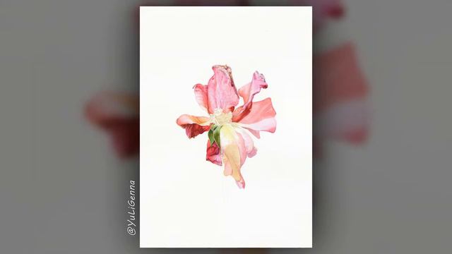 Акварель "Увядающая роза Brandy" смотреть онлайн