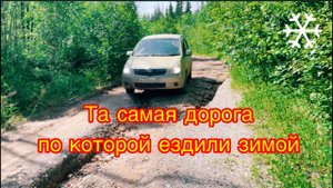 Та самая дорога, по которой ездили зимой в баню #car #offroad #бездорожье