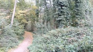 Wandelen door de kloosterbossen van Rolduc te Kerkrade 1 eiland 2e vijver rolduc