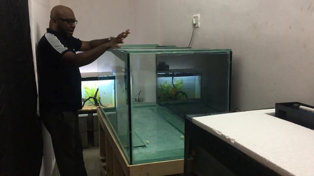 ADDING NATURAL SAND TO A LARGE AQUARIUM | 5 Feet | TAMIL смотреть онлайн