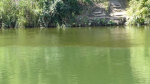 Место впадения реки Оскол в Северский Донец. Разная вода