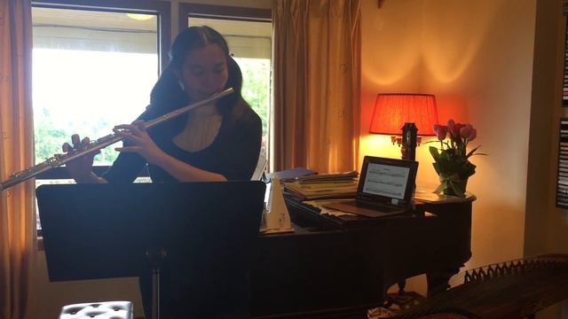 Nocturne op 55 no 1 by Chopin (flute and piano) смотреть онлайн