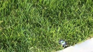 Обзор ЖК Изумрудный Город в Геленджике