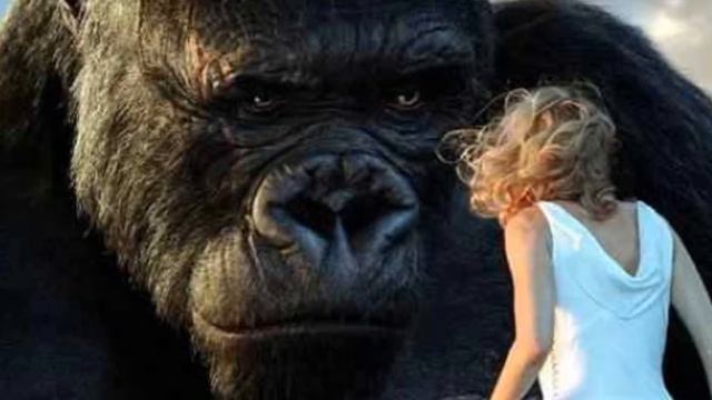 KING KONG (2)
