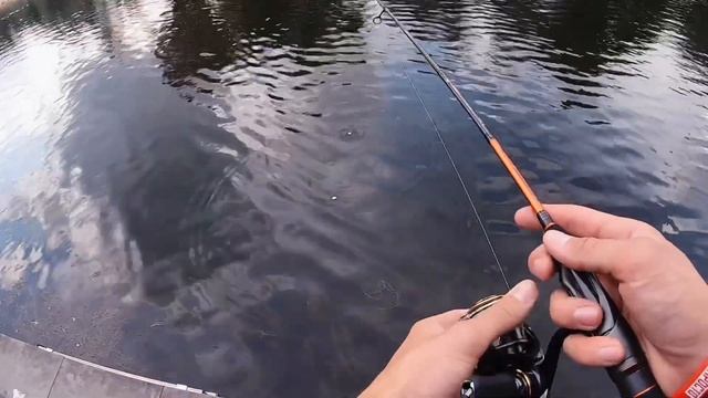 Мормышинг или как накормить кота смотреть онлайн