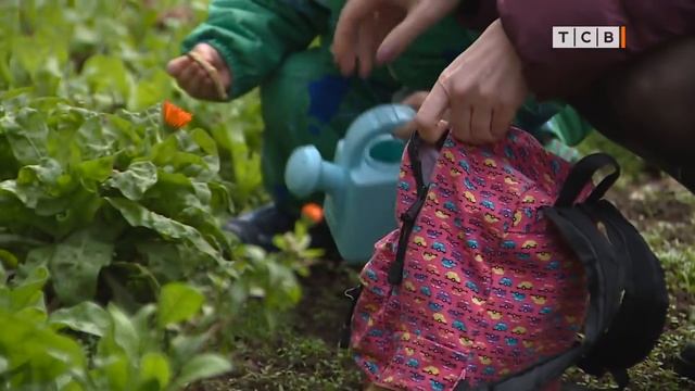 Чем занять ребенка на прогулке смотреть онлайн