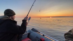 РЫБАЛКА НА БЕЛОМ МОРЕ | ТРЕСКА | ДЕРЕВНЯ СЮЗЬМА