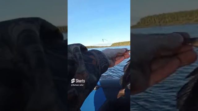 Поимка окуня на колебалку ручной работы