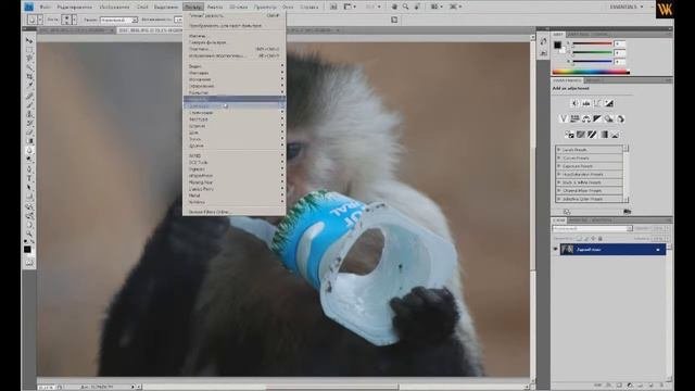 Работа с фоторедакторами. Adobe Photoshop.Фотошоп .Урок 6. Резкость и нерезкость.