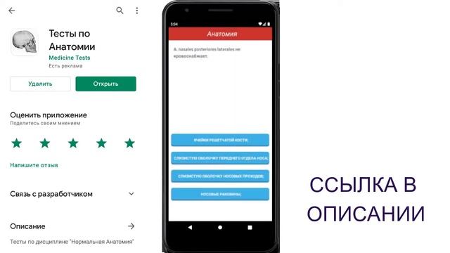 Тесты по Анатомии Человека. ДОСТУПНО В ПЛЕЙ МАРКЕТЕ! смотреть онлайн