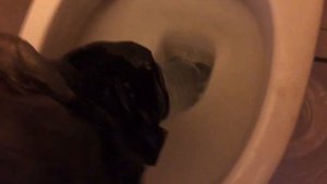 Как прочистить засор в унитазе (8/8/2019)