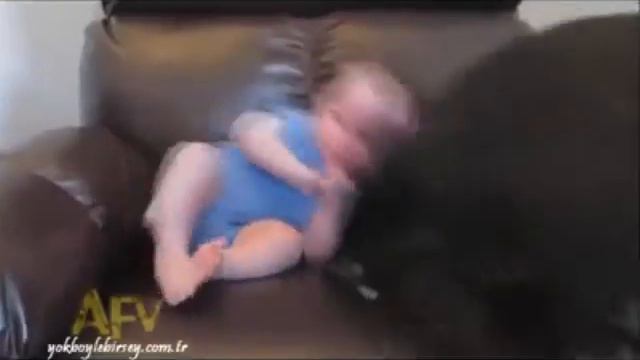 Ребенок наказал питбультерера смотреть онлайн